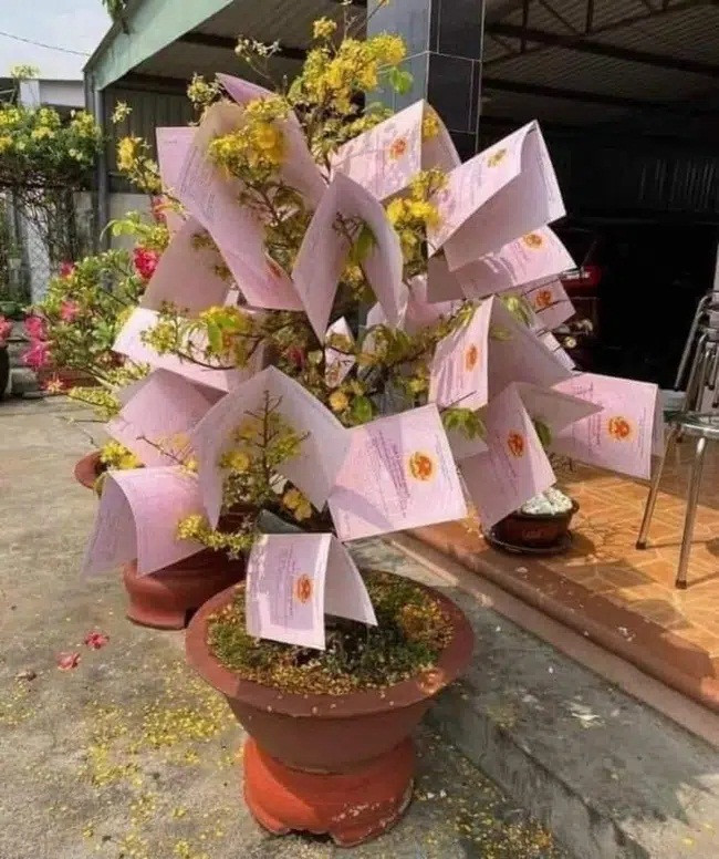 So nang chau mai vang no tung, chu nha che day ai cung tram tro