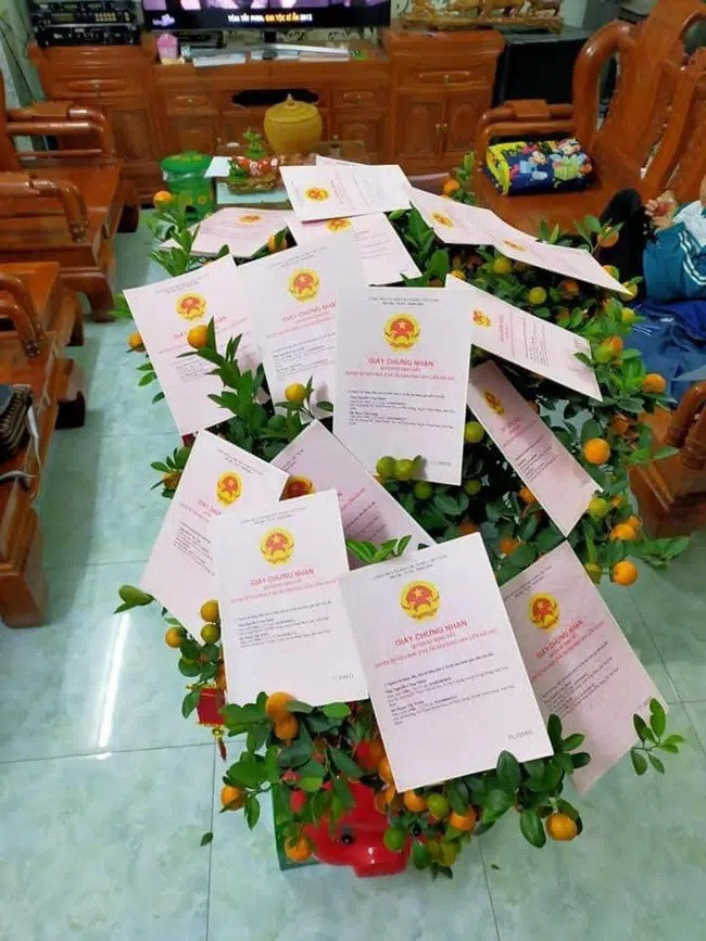 So nang chau mai vang no tung, chu nha che day ai cung tram tro-Hinh-2