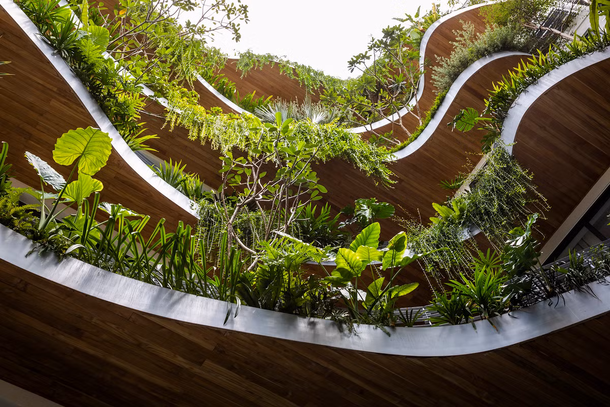 Dàn cây dây leo tươi tốt đổ xuống từ các ban công nhấp nhô của tòa nhà, tạo nên một mặt tiền xanh mát.