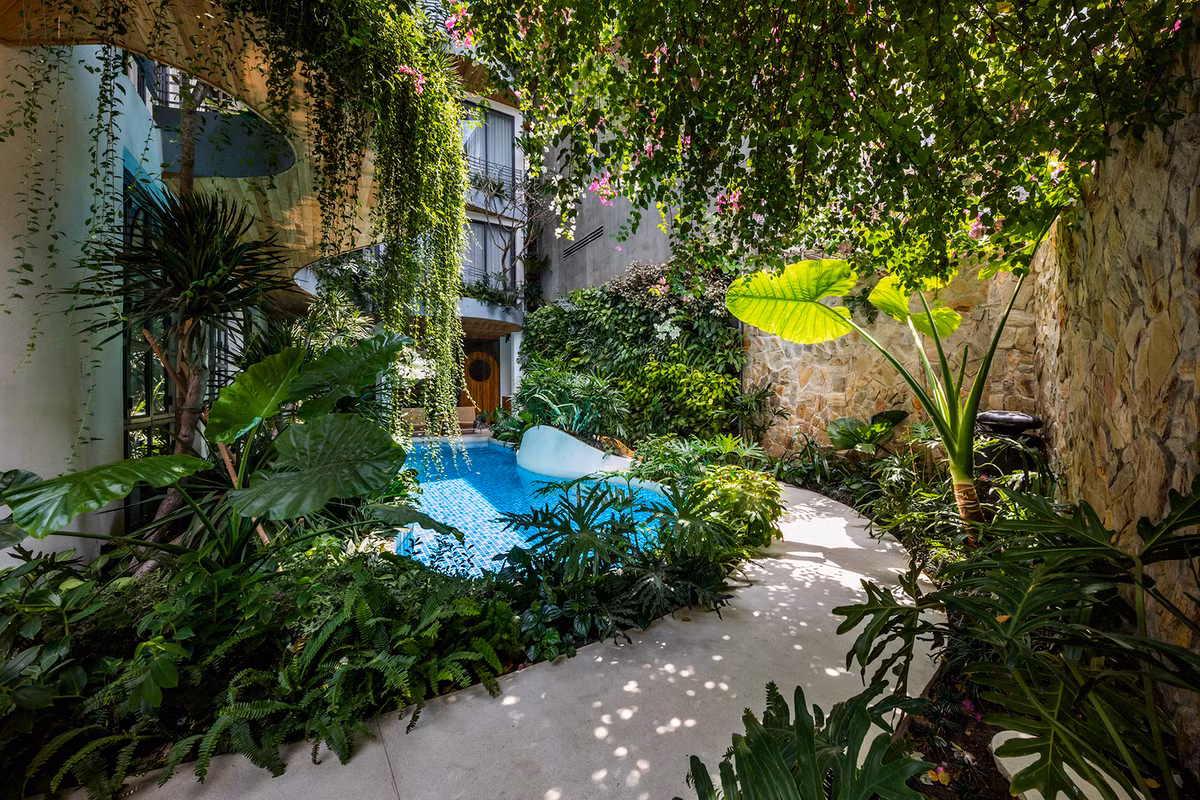 Từ cổng, kiến trúc sư thiết kế một con đường cong ngắn dẫn vào bên trong, khiến nó giống như một cuộc dạo chơi thú vị giữa các loại cây, nước và ánh sáng.