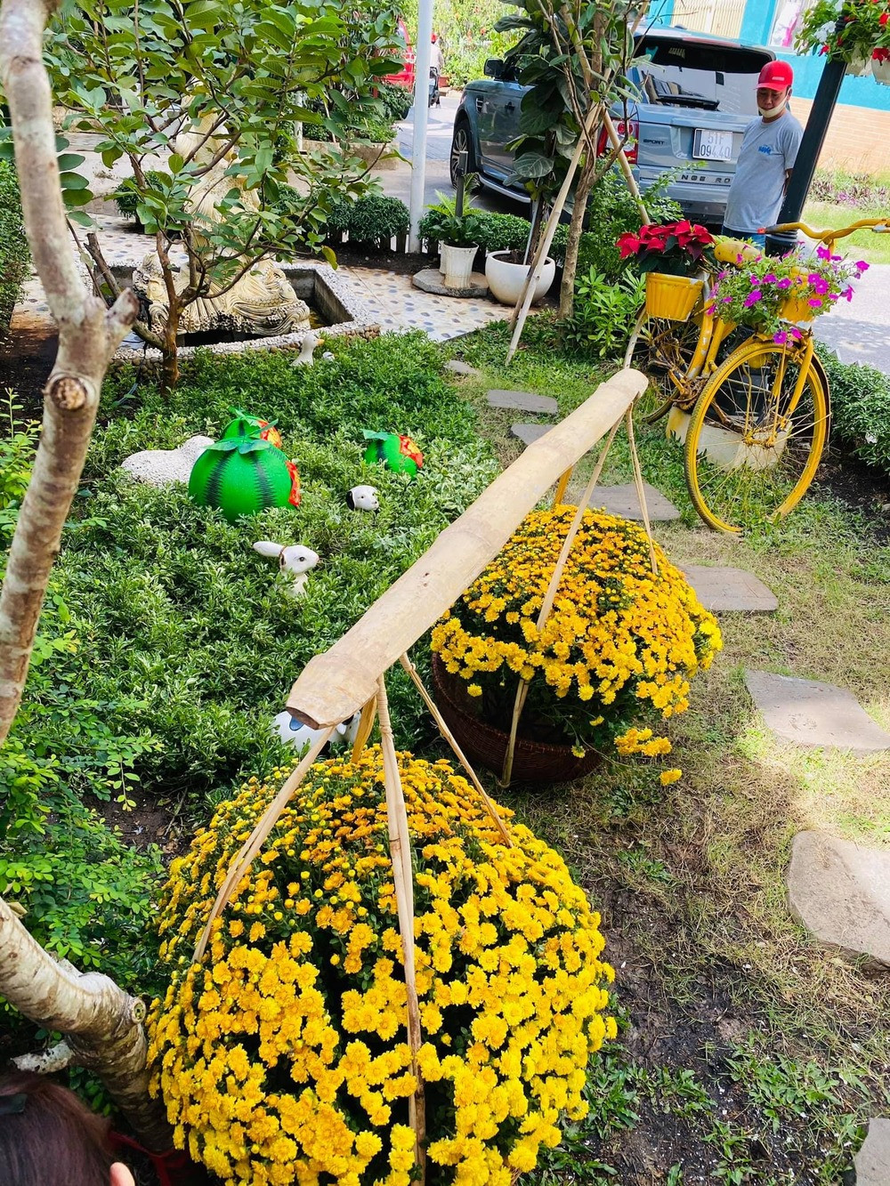 Chậu hoa rực sắc vàng được xếp ngay ngắn trong quang gánh.