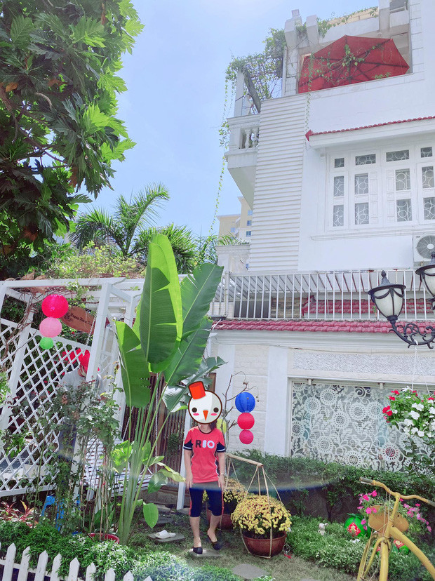 Vườn cây được cắt tỉa lại.