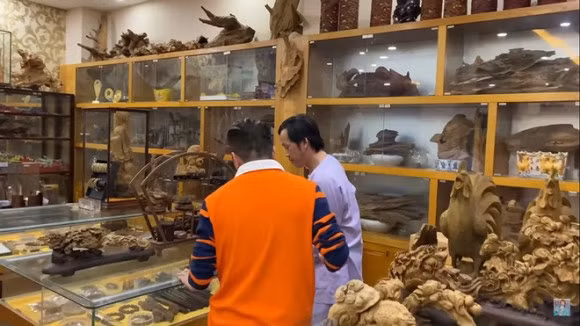 Trầm hương là phần gỗ của cây dó bầu bị nhiễm dầu, có đặc điểm tỏa mùi thơm đặc biệt lúc đốt hoặc chưa đốt. Ảnh: cắt clip.