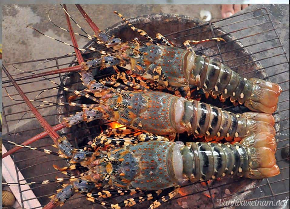 Tôm hùm bông xanh là 1 trong những đặc sản tiến vua trứ danh ở đảo Bình Ba (Khánh Hòa). Trước đây, giá tôm hùm xanh từ 800.000 đến 1 triệu đồng/kg, tôm hùm bông từ 1,1 - 1,8 triệu đồng/kg. Ảnh: Internet