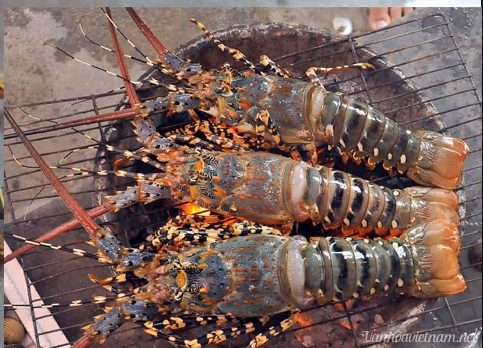 Tôm hùm bông xanh là 1 trong những đặc sản tiến vua trứ danh ở đảo Bình Ba (Khánh Hòa). Trước đây, giá tôm hùm xanh từ 800.000 đến 1 triệu đồng/kg, tôm hùm bông từ 1,1 - 1,8 triệu đồng/kg. Ảnh: Internet