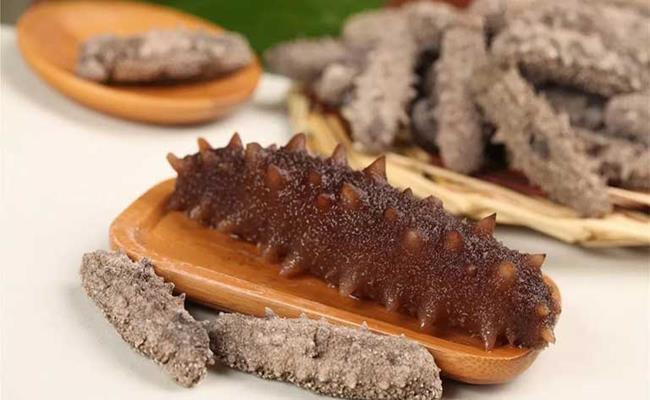 Đặc điểm của hải sâm là lớp da có lông, sần sùi hơi nhám, xương trong nằm ngay dưới da. Ảnh: Internet