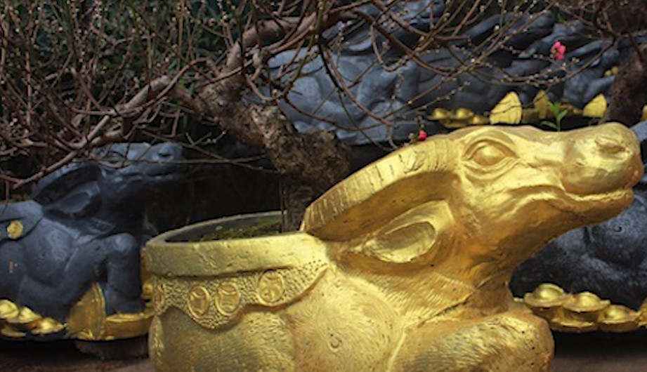 Bệ đỡ hình trâu được đúc bằng xi măng, có thể quét sơn màu đen hoặc vàng tùy theo yêu cầu của khách. Ảnh: Tiền phong.