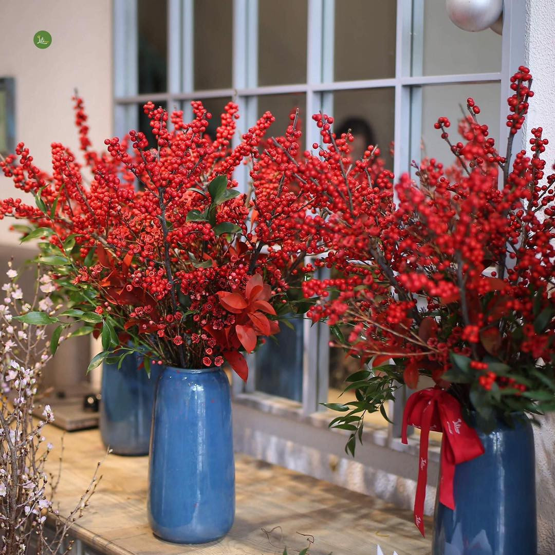 Đào đông đỏ có màu đỏ rực, cành đào đỏ có quả như trái chín mọng nên được nhiều người mua về chơi Tết. Ảnh: Báo tin tức.