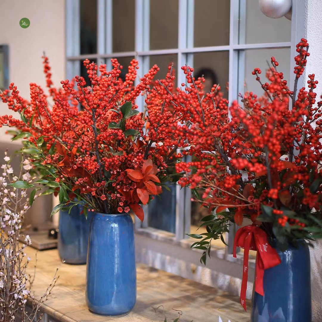 Đào đông đỏ có màu đỏ rực, cành đào đỏ có quả như trái chín mọng nên được nhiều người mua về chơi Tết. Ảnh: Báo tin tức.