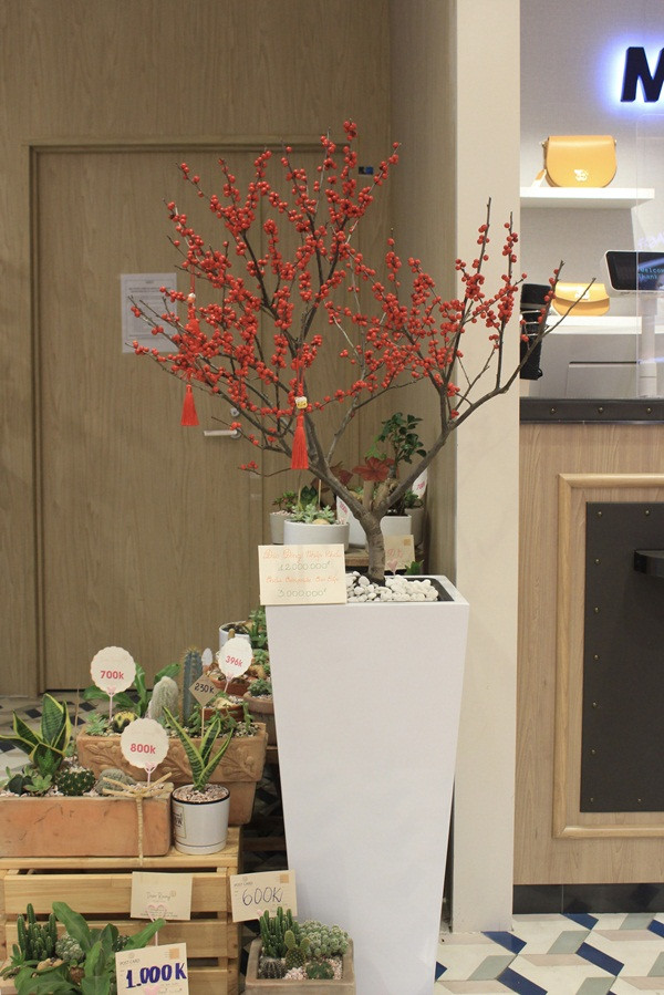 Tính ra, trung bình một bình đào đông đỏ đầy đặn có giá từ 3-6 triệu đồng. Cũng vì giá cao như vậy nên khách hàng chọn đào đông đỏ thường là người có điều kiện mua về chơi hoặc làm quà biếu. Ảnh: Vietnamnet.