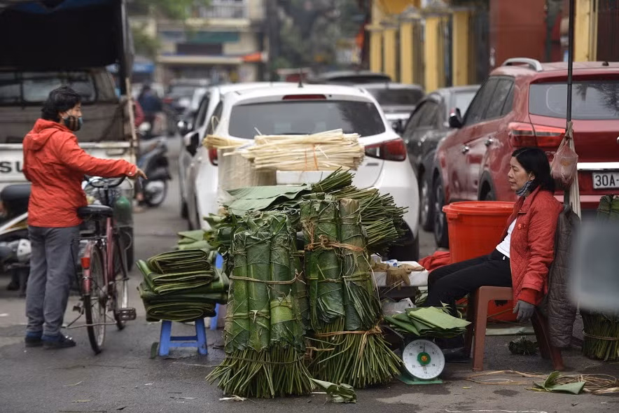 Nhiều cơ sở sản xuất bánh chưng đã đặt lá dong từ lâu và họ sẽ lấy số lượng lớn.