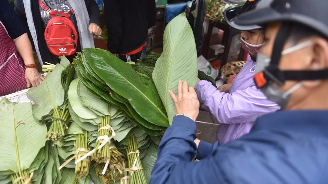 Đoạn đường dài gần 100m được phủ một màu xanh của lá dong.