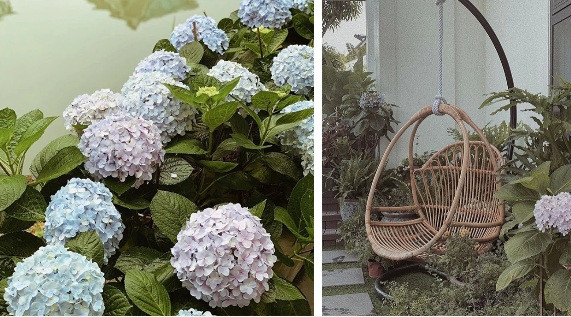 Tại khoảng sân này, Tú Anh trồng nhiều hoa và đặt bộ bàn ghế để thư giãn.Nguồn ảnh: FBNV.