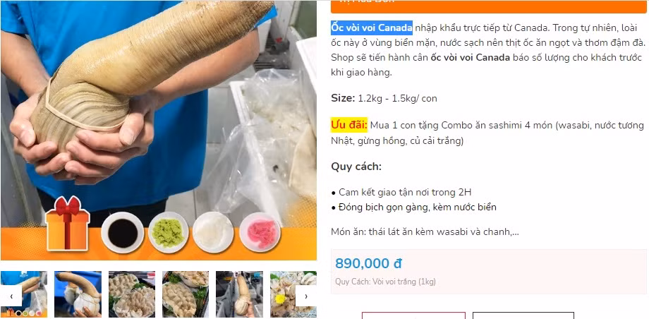 Oc voi voi khong lo truoc gia 