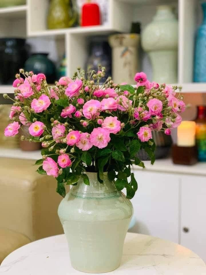 Chị Trang (một người bán hoa ở Hoàng Mai, Hà Nội) cũng thừa nhận hoa hồng tầm xuân hiện rất đắt khách. Mỗi ngày chị bán được 400-500 cành.