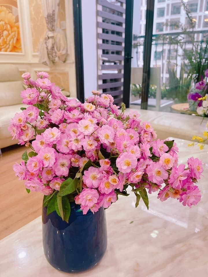 Những ngày gần đây, trên hội nhóm của những người thích cắm hoa tươi, hồng tầm xuân trở thành loại hoa hot được nhiều người săn tìm.