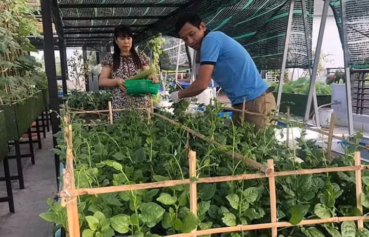 Sau này, vợ chồng anh tính toán mọi thứ rất công phu, vị trí nào ngày nắng bao nhiêu tiếng, cây nào lớn che được bao nhiêu bóng mát; vị trí nào nắng cả ngày, hướng nào gió nhất...Ảnh: Tiền phong