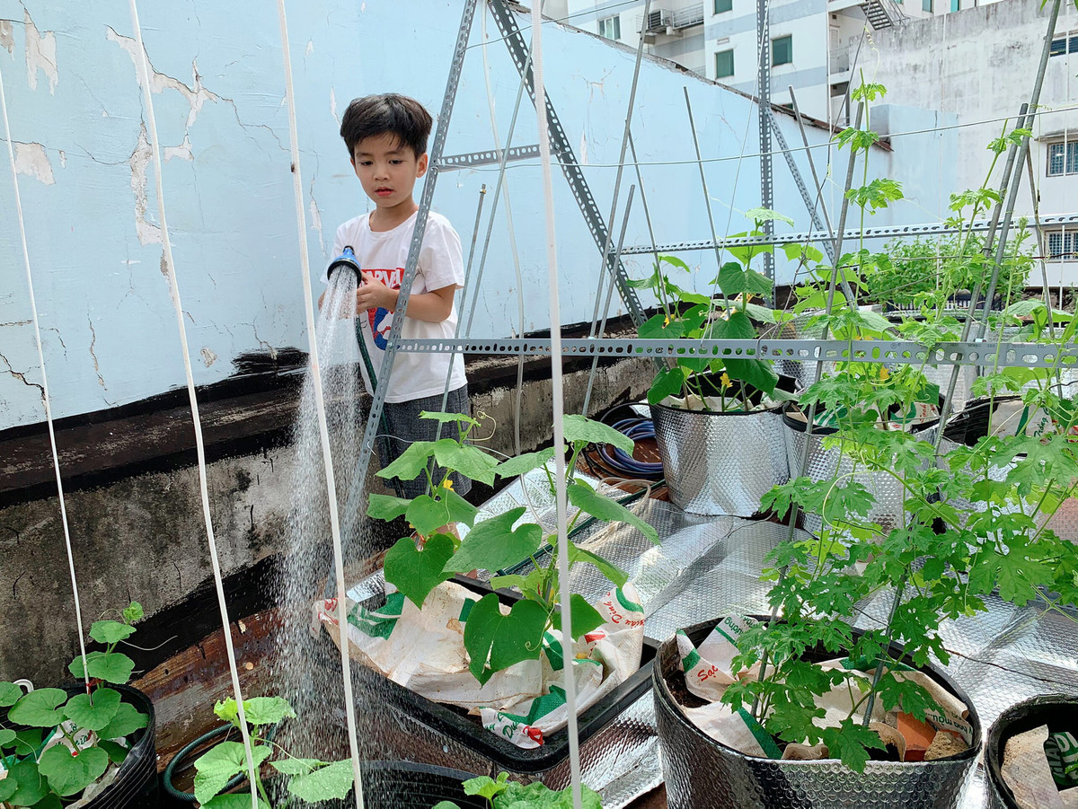 Vợ chồng anh Nguyện bắt tay vào thực hiện khu vườn trên mái vừa tạo nguồn thực phẩm sạch vừa để các con không bị cuồng chân trong những ngày nghỉ dài. Ảnh: Dân Việt