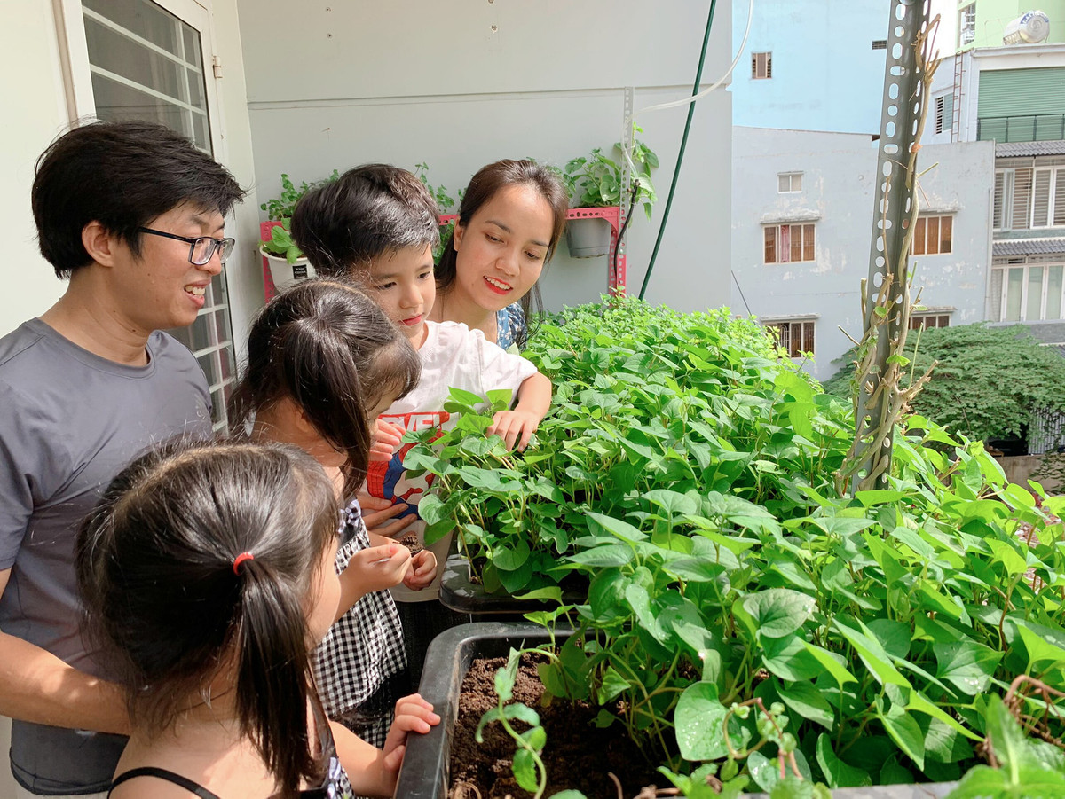 Hơn 1 năm nay, vườn rau trên mái nhà của gia đình anh Phan Văn Nguyện (Bình Thạnh, TP HCM) trở thành nơi vui chơi của các con. Ảnh: Dân Việt