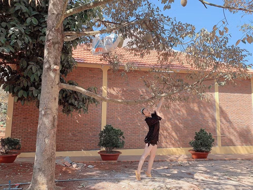 Ngoài biệt thự dát vàng, Lý Nhã Kỳ còn có mảnh vườn rộng 10.000 m2 ở tỉnh Bà Rịa trồng toàn cây ăn trái bốn mùa. Ảnh: Vietnamnet