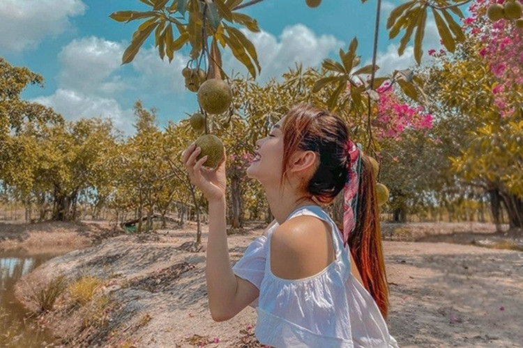 Minh Hằng cũng sở hữu khu vườn rộng khoảng 20.000m2 với nhiều loại cây ăn trái khác nhau ở Nhơn Trạch (Đồng Nai). Ảnh: chụp màn hình