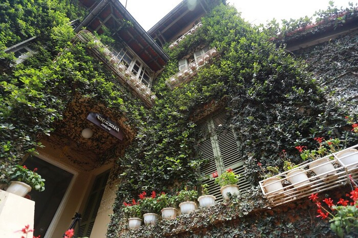 Cây xanh phủ kín từ tầng 1 lên đến tận nóc nhà nên không khí bên trong luôn mát mẻ, đặc biệt không còn cảm giác nóng bức, ngột ngạt. Ảnh: Saostar