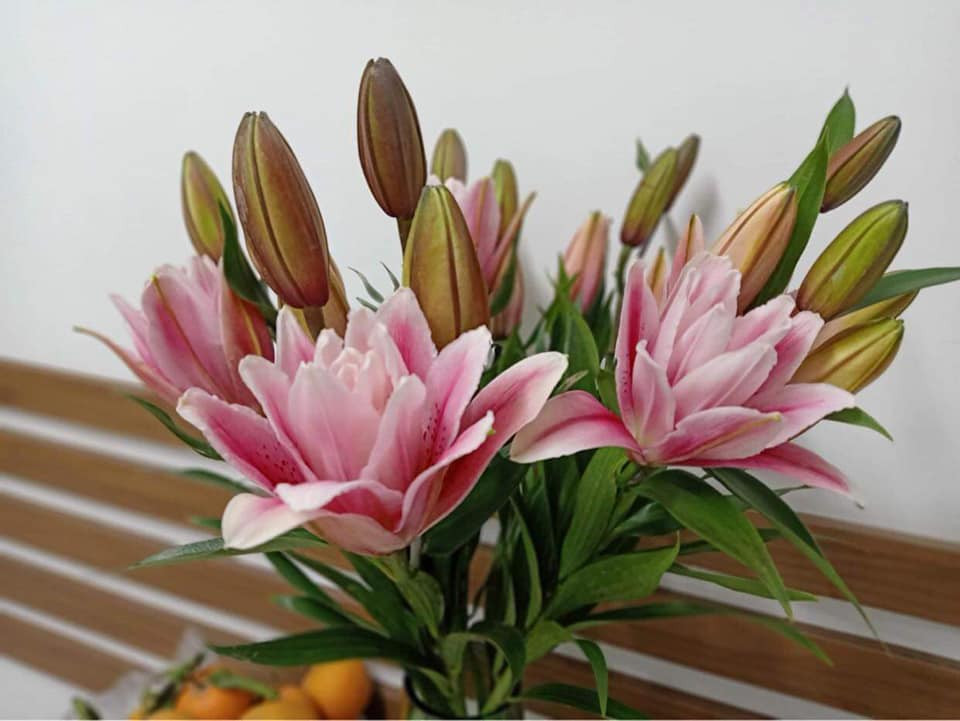 Hoa ly kép Đà Lạt có giá khoảng 160.000/5 cành hay 300.000 - 350.000 đồng/10 cành khá hút khách. Ảnh: Facebook.