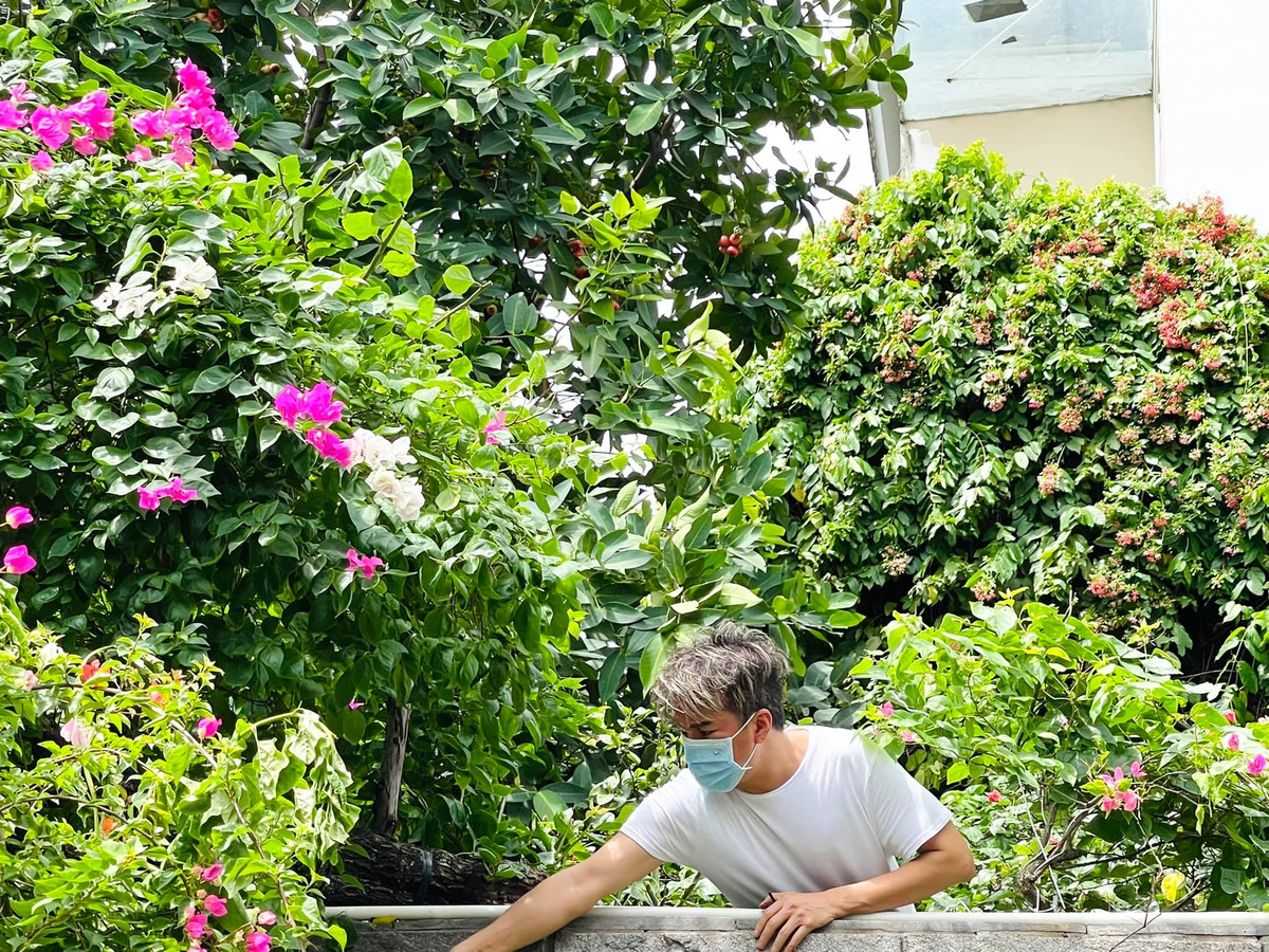 Bat ngo khu vuon ngap rau trai trong biet thu cua Dam Vinh Hung