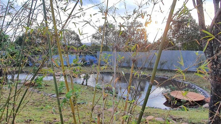 Dựa trên triết lý kiến trúc chữa lành, địa thế không gian của vườn Zen tại Thành phố Cà phê được tuân thủ, tôn trọng nguyên vẹn địa thế tự nhiên.