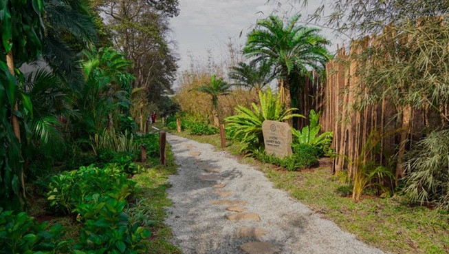 Khu vườn với những loại cây tiêu biểu trong văn hóa và tâm thức người Việt Nam như: trúc, đa, đề, tre.. biểu trưng cho khát vọng, các đức tính của dân tộc như sự chính trực, kiên cường với khí phách của các bậc hiền nhân quân tử…