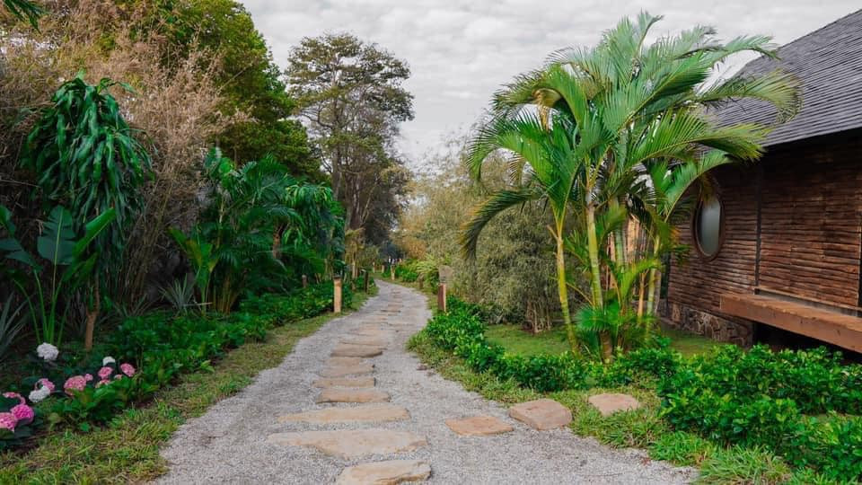 Không gian thoáng đãng trong khu vườn Zen Garden.
