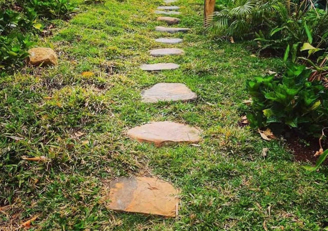 Trong tuần đầu tiên khai trương, khu vườn Zen Garden của Trung Nguyên gây bất ngờ trước việc bán vé bằng… cây.