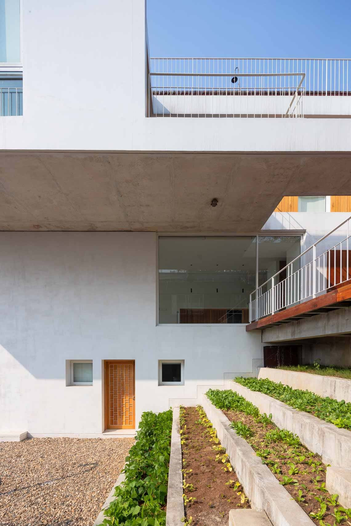 Khu vực trồng rau thiết kế dạng bậc thang. Nguồn ảnh: Trieu Chien