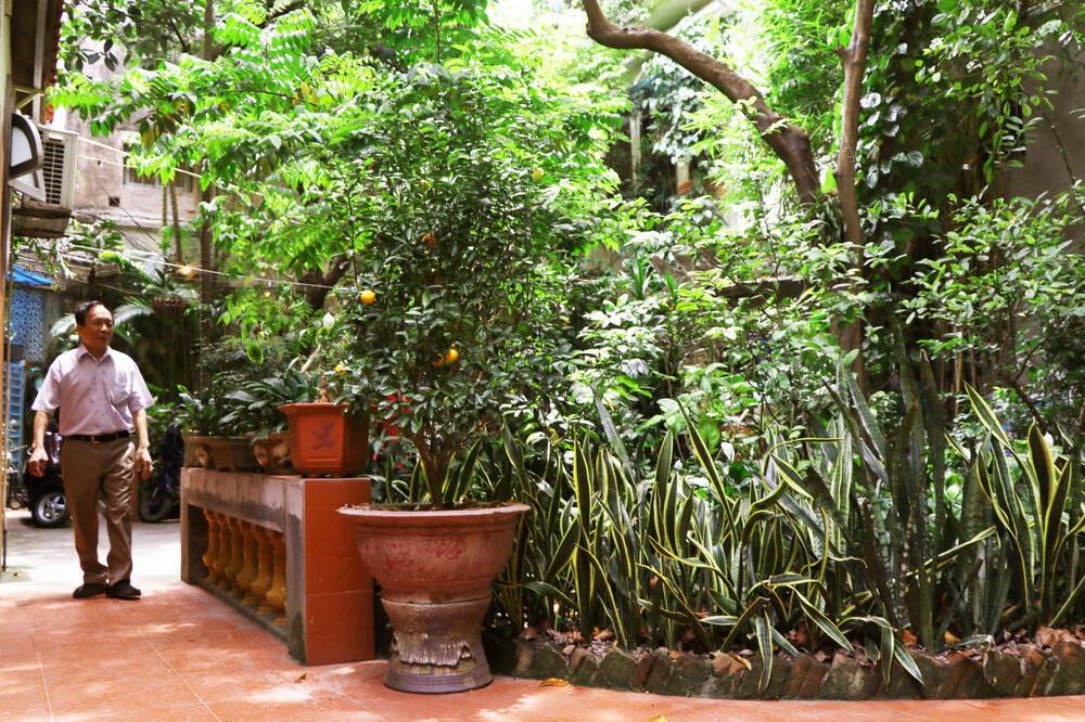 Ông Phạm Ngọc Giao (con trai cụ Thanh) cho biết, sau khi cha mẹ qua đời các con cháu đã giữ gìn sinh sống tại đây. Ảnh: Saostar.