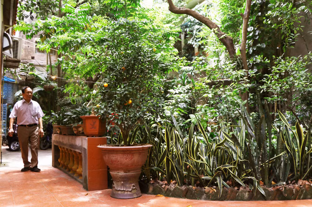 Ông Phạm Ngọc Giao (con trai cụ Thanh) cho biết, sau khi cha mẹ qua đời các con cháu đã giữ gìn sinh sống tại đây. Ảnh: Saostar.