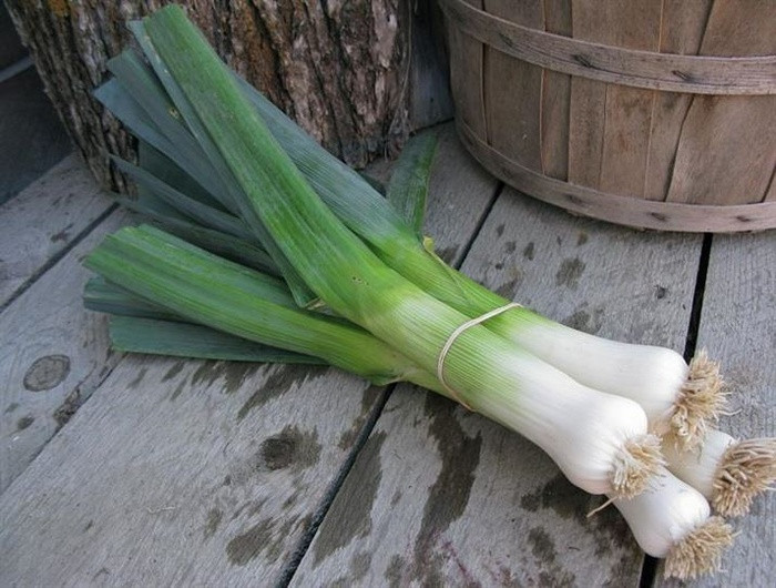 5 loai thuc pham an vao giam can veo veo nhu Park Shin Hye