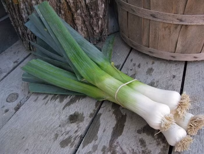 5 loai thuc pham an vao giam can veo veo nhu Park Shin Hye