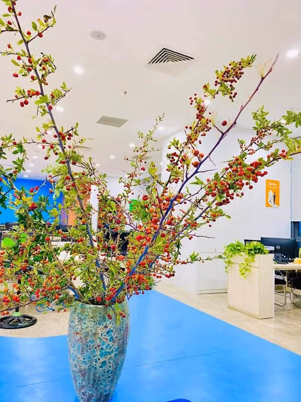 Bên cạnh đó, cành cherry rừng sai trĩu quả cũng từng tạo nên "cơn sốt" ở chợ mạng hồi cuối năm ngoái. Ảnh: Facebook.