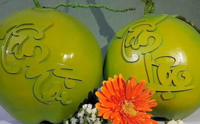 Năm 2017, dừa khắc chữ lần đầu tiên có mặt tại thị trường Hà Nội phục vụ Tết với mức giá 500.000 đồng/quả. Ảnh: Internet.