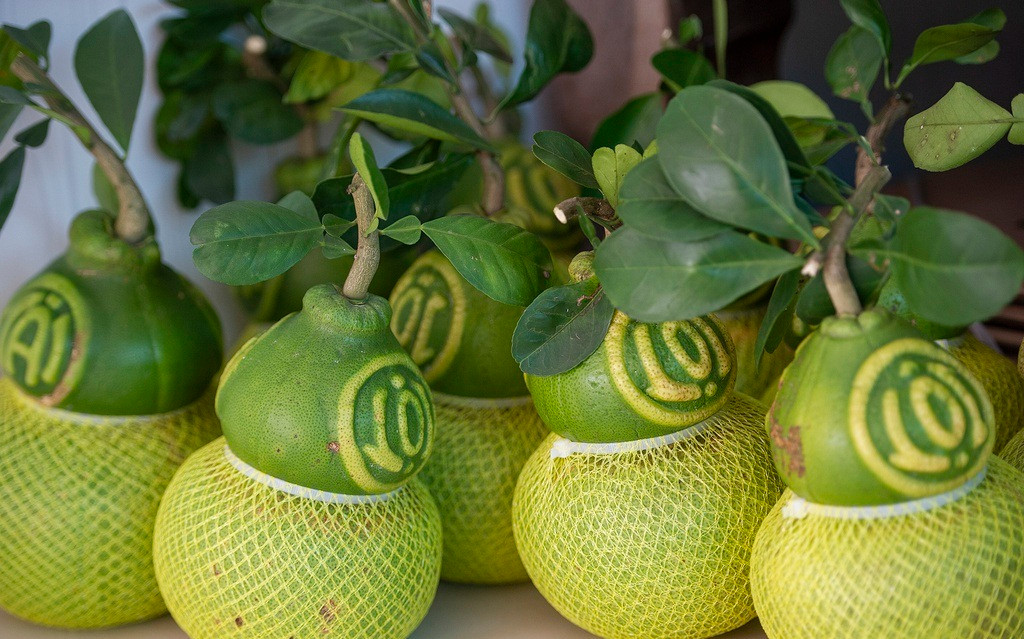 Tương tự, bưởi hồ lô khắc chữ Tài, Lộc cũng được khách hàng ưa chuộng trong dịp Tết. Ảnh: Zing.