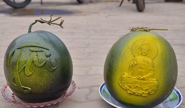 Dưa hấu có thể được khắc chữ bằng tay hoặc bằng máy vi tính và máy laser. Giá sản phẩm tùy vào họa tiết khách đặt, họa tiết đơn giản thì giá rẻ hơn, họa tiết cầu kỳ, mất thời gian hơn thì giá thành sẽ cao hơn. Ảnh: Tiền phong.