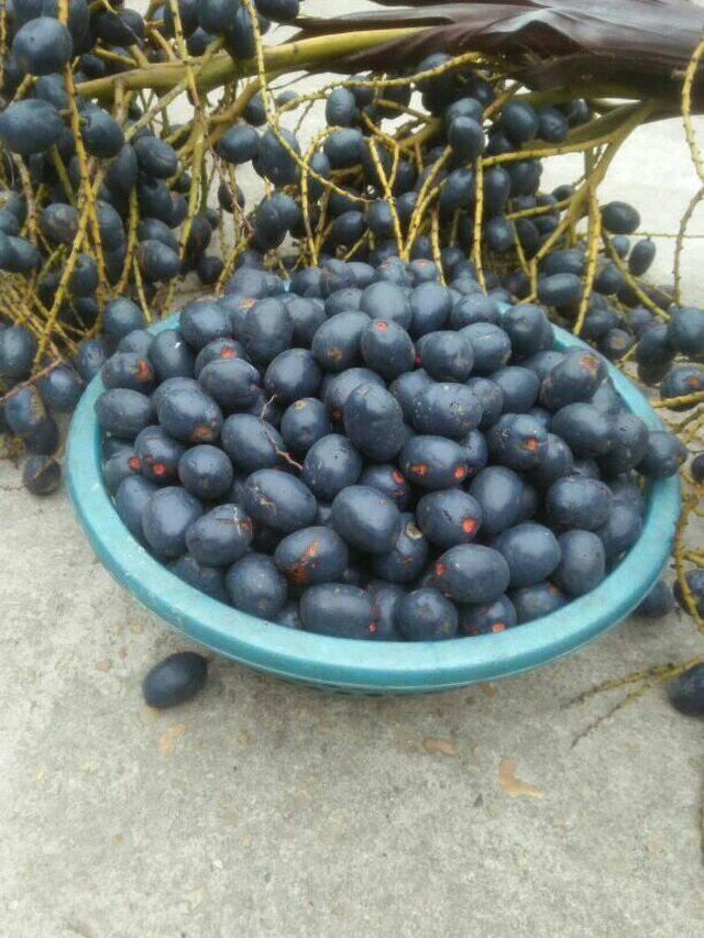 Có tiểu thương bán được cả tạ cô mỗi ngày. Nhiều khách phải chờ đến hôm sau mới mua được.