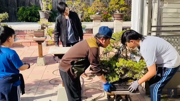 Khu vườn bonsai của Bằng Kiều được bố trí hệ thống tưới cây tự động. Khi nào rảnh thì nam ca sĩ tự ra tưới. Ảnh: FBNV.