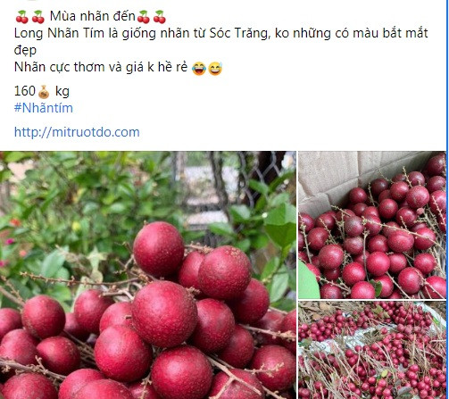 Nếu như nhãn thường có giá từ 20.000 - 30.000 đồng/kg tại các chợ thì nhãn tím giá từ 140.000 - 230.000 đồng/kg. Ảnh chụp màn hình