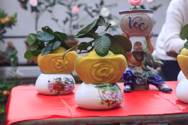 Được làm từ bưởi Diễn, bưởi da xanh, bười tạo hình có giá tới vài trăm nghìn đồng/trái (tùy kích cỡ và tạo hình). Trái đẹp mắt, cầu kỳ giá có thể đến hơn 1 triệu đồng. Ảnh: Baotintuc