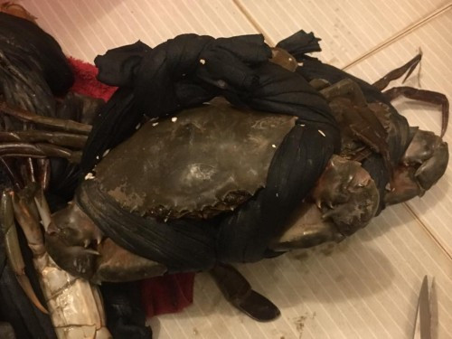 Mua cua thì nhiều người đều gặp cảnh dây buộc khổng lồ chiếm hết trọng lượng cả con. Ảnh: Facebook