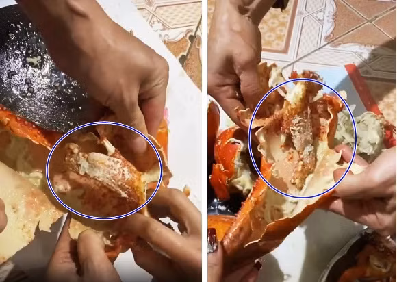 Nhiều người tỏ ra bất bình với người bán hàng "không có tâm" khi cả con tôm to như thế mà ướp đông lạnh đến mức óp hết cả thịt. Ảnh: Tiktok