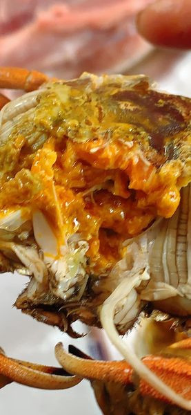 Chia sẻ trên Dân Việt, chị Trang Hà (Hoàn Kiếm, Hà Nội), loại cua lông giá rẻ đang bán nhiều trên chợ mạng thực chất là cua da hay còn gọi là cua sông.