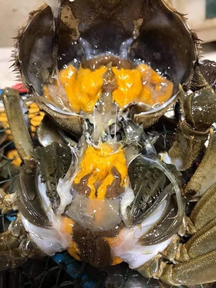 Cuối tháng 9, đầu tháng 10 hàng năm là lúc thị trường rầm rộ trước sự xuất hiện của cua lông Thượng Hải. Đây được coi là món ăn thượng hạng của giới nhà giàu, mỗi năm chỉ có từ 2-3 tháng.