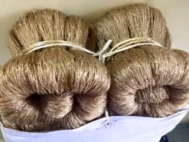 Trong đó, miến dong Cao Bằng được nhiều người đặt mua với giá từ 100.000 - 120.000 đồng/kg. Ảnh: Internet